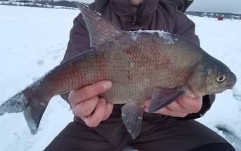 Безмотыльный тур по Рузскому водохранилищу