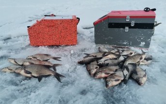 Безмотыльный тур по Рузскому водохранилищу