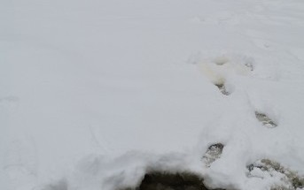 Весьегонск. День второй. Весьегонск. День второй.