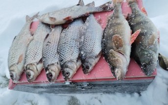 Часть 3 "Зачем ты опять едешь на эту свою Рыбинку?" Часть 3 "Зачем ты опять едешь на эту свою Рыбинку?"