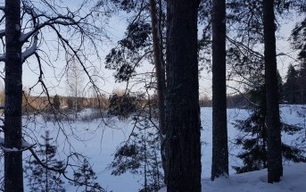 Часть 2 «Зачем ты опять едешь на эту свою Рыбинку!?» Часть 2 «Зачем ты опять едешь на эту свою Рыбинку!?»