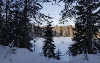 Часть 2 «Зачем ты опять едешь на эту свою Рыбинку!?» Часть 2 «Зачем ты опять едешь на эту свою Рыбинку!?»