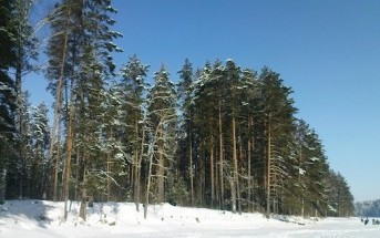 Часть 1 «Зачем ты опять едешь на эту свою Рыбинку!?» Часть 1 «Зачем ты опять едешь на эту свою Рыбинку!?»